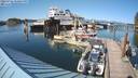./images/quadra/hbidock/20220726/hbidock20220726_170500M.jpg