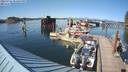./images/quadra/hbidock/20220726/hbidock20220726_171500M.jpg