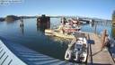 ./images/quadra/hbidock/20220726/hbidock20220726_180500M.jpg