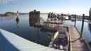 ./images/quadra/hbidock/20220728/hbidock20220728_082500M.jpg