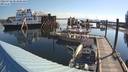 ./images/quadra/hbidock/20220728/hbidock20220728_083500M.jpg