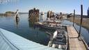 ./images/quadra/hbidock/20220728/hbidock20220728_103500M.jpg