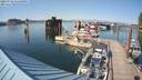 ./images/quadra/hbidock/20220728/hbidock20220728_171500M.jpg