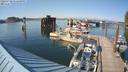 ./images/quadra/hbidock/20220728/hbidock20220728_172501M.jpg