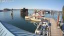 ./images/quadra/hbidock/20220728/hbidock20220728_173000M.jpg