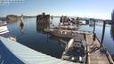 ./images/quadra/hbidock/20220729/hbidock20220729_083000M.jpg