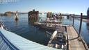 ./images/quadra/hbidock/20220729/hbidock20220729_091000M.jpg