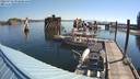 ./images/quadra/hbidock/20220729/hbidock20220729_092000M.jpg