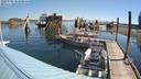 ./images/quadra/hbidock/20220729/hbidock20220729_103500M.jpg