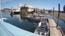 ./images/quadra/hbidock/20220729/hbidock20220729_110500M.jpg