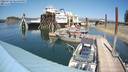 ./images/quadra/hbidock/20220729/hbidock20220729_144500M.jpg