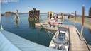 ./images/quadra/hbidock/20220729/hbidock20220729_151000M.jpg