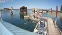 ./images/quadra/hbidock/20220729/hbidock20220729_153000M.jpg