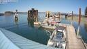 ./images/quadra/hbidock/20220729/hbidock20220729_153500M.jpg