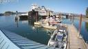 ./images/quadra/hbidock/20220729/hbidock20220729_165000M.jpg