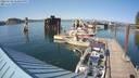 ./images/quadra/hbidock/20220729/hbidock20220729_171000M.jpg