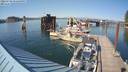 ./images/quadra/hbidock/20220729/hbidock20220729_171500M.jpg