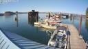 ./images/quadra/hbidock/20220729/hbidock20220729_173000M.jpg