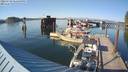./images/quadra/hbidock/20220729/hbidock20220729_181500M.jpg