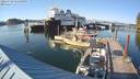 ./images/quadra/hbidock/20220729/hbidock20220729_184500M.jpg