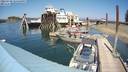 ./images/quadra/hbidock/20220730/hbidock20220730_144500M.jpg