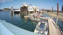 ./images/quadra/hbidock/20220730/hbidock20220730_145000M.jpg