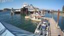 ./images/quadra/hbidock/20220730/hbidock20220730_170000M.jpg