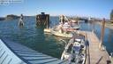 ./images/quadra/hbidock/20220730/hbidock20220730_171500M.jpg