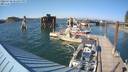 ./images/quadra/hbidock/20220730/hbidock20220730_172000M.jpg
