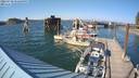 ./images/quadra/hbidock/20220730/hbidock20220730_172500M.jpg