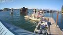 ./images/quadra/hbidock/20220730/hbidock20220730_174500M.jpg