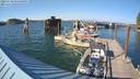 ./images/quadra/hbidock/20220730/hbidock20220730_175000M.jpg