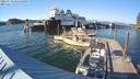 ./images/quadra/hbidock/20220730/hbidock20220730_184500M.jpg