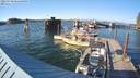 ./images/quadra/hbidock/20220730/hbidock20220730_185500M.jpg