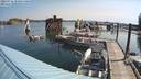 ./images/quadra/hbidock/20220731/hbidock20220731_100500M.jpg