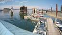 ./images/quadra/hbidock/20220731/hbidock20220731_153500M.jpg