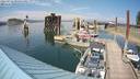 ./images/quadra/hbidock/20220731/hbidock20220731_155500M.jpg