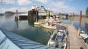 ./images/quadra/hbidock/20220731/hbidock20220731_170000M.jpg