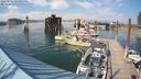 ./images/quadra/hbidock/20220731/hbidock20220731_171001M.jpg