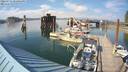 ./images/quadra/hbidock/20220731/hbidock20220731_173000M.jpg