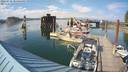 ./images/quadra/hbidock/20220731/hbidock20220731_173500M.jpg