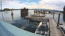 ./images/quadra/hbidock/20220801/hbidock20220801_092001M.jpg