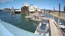 ./images/quadra/hbidock/20220801/hbidock20220801_145001M.jpg