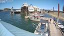 ./images/quadra/hbidock/20220801/hbidock20220801_151001M.jpg