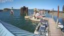 ./images/quadra/hbidock/20220801/hbidock20220801_163500M.jpg