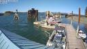 ./images/quadra/hbidock/20220801/hbidock20220801_164000M.jpg