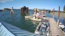 ./images/quadra/hbidock/20220801/hbidock20220801_164500M.jpg