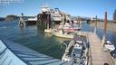./images/quadra/hbidock/20220801/hbidock20220801_165500M.jpg