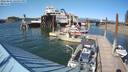 ./images/quadra/hbidock/20220801/hbidock20220801_170000M.jpg