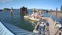 ./images/quadra/hbidock/20220801/hbidock20220801_172000M.jpg